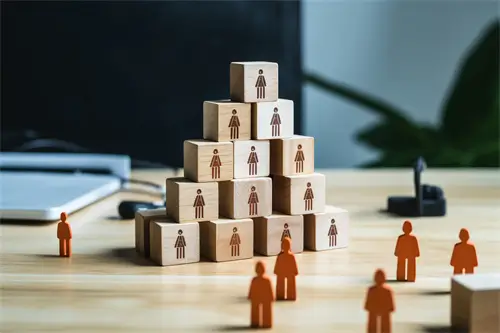 国内丛林酒店攻略路线