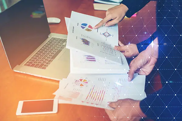 个人养小鸡教程攻略